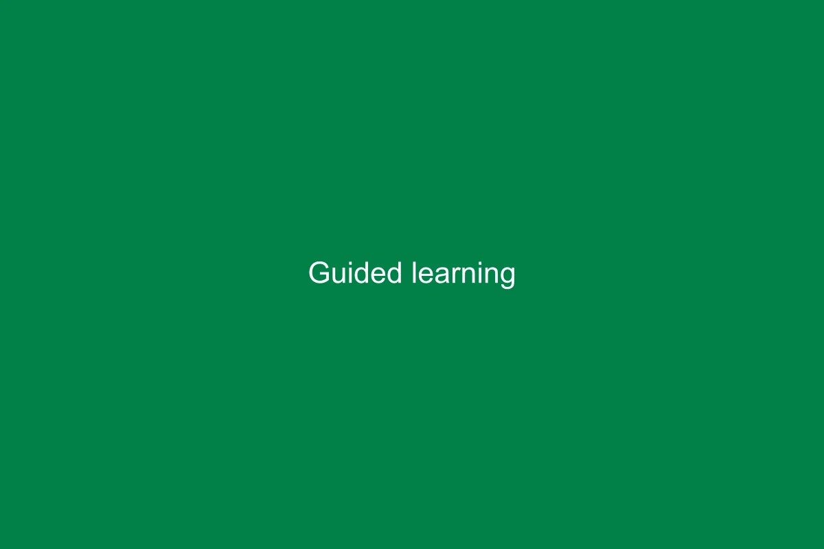 Classroom Moments — Guided learning