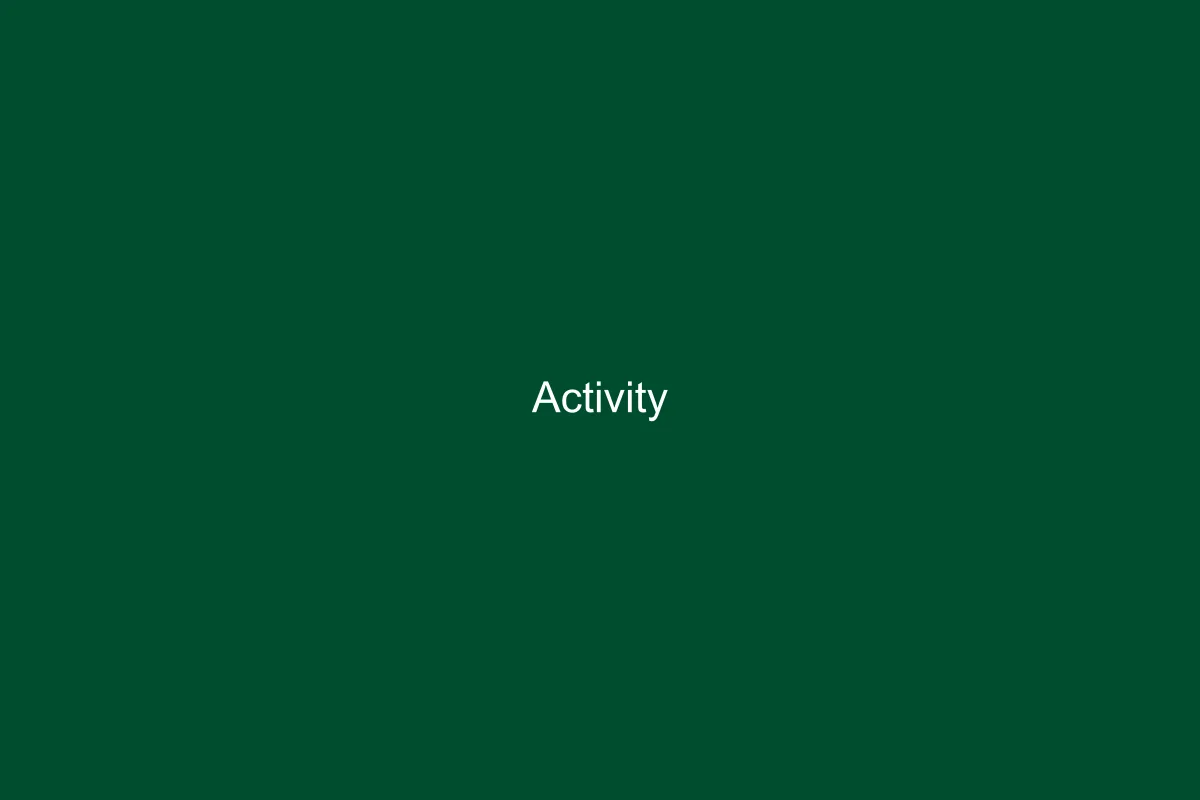 Classroom Moments — Activity